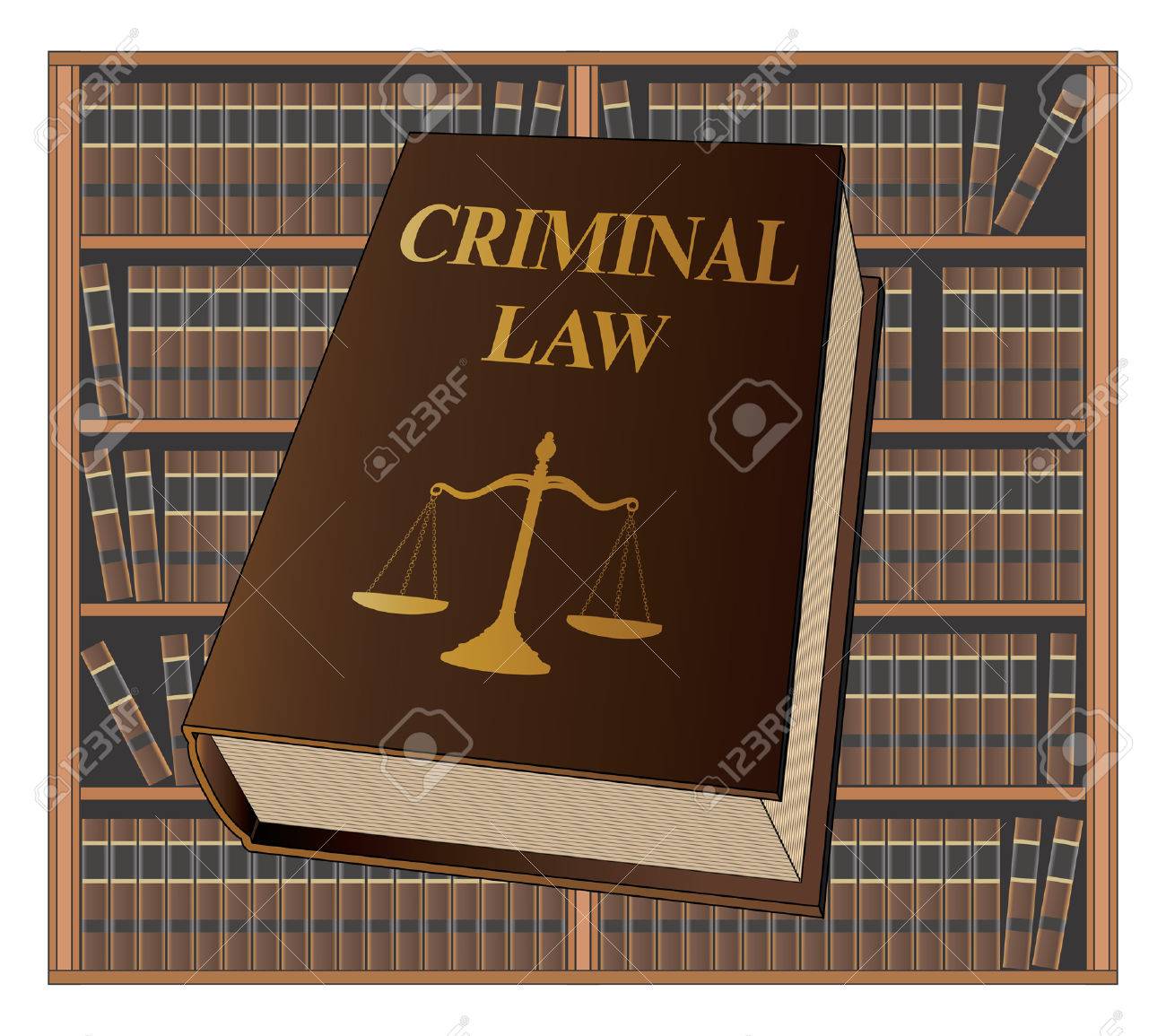 criminal_law_book.jpg