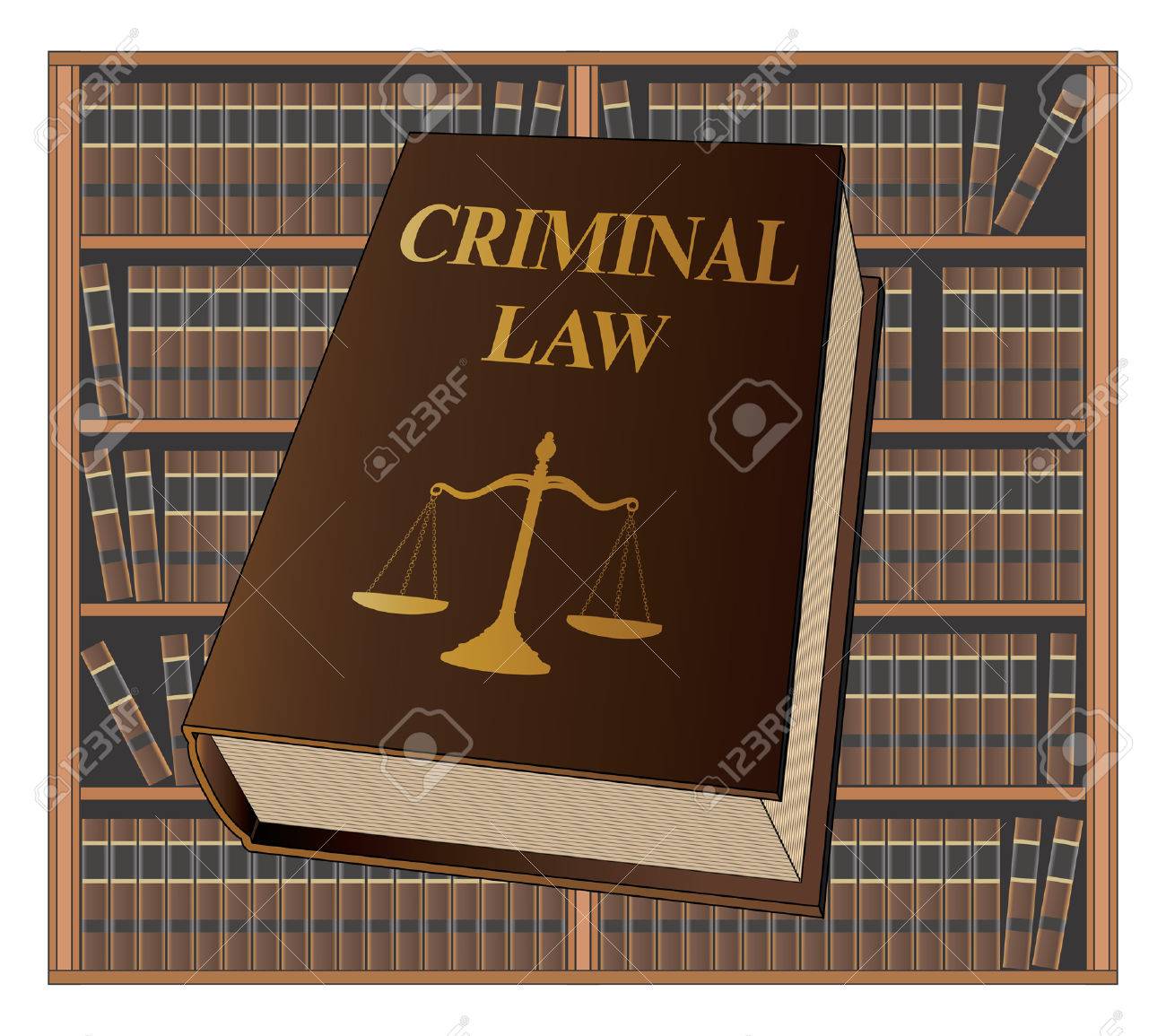 The Criminal Law Handbook